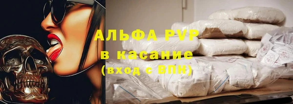 стафф Елизово