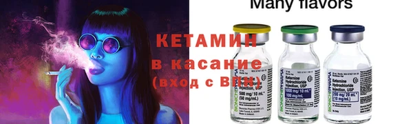 стаф Дмитриев