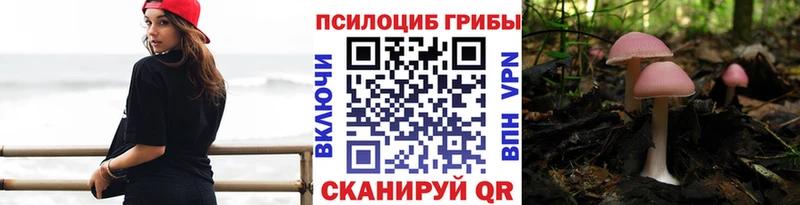Галлюциногенные грибы Psilocybine cubensis  ссылка на мегу ССЫЛКА  Красноуральск 